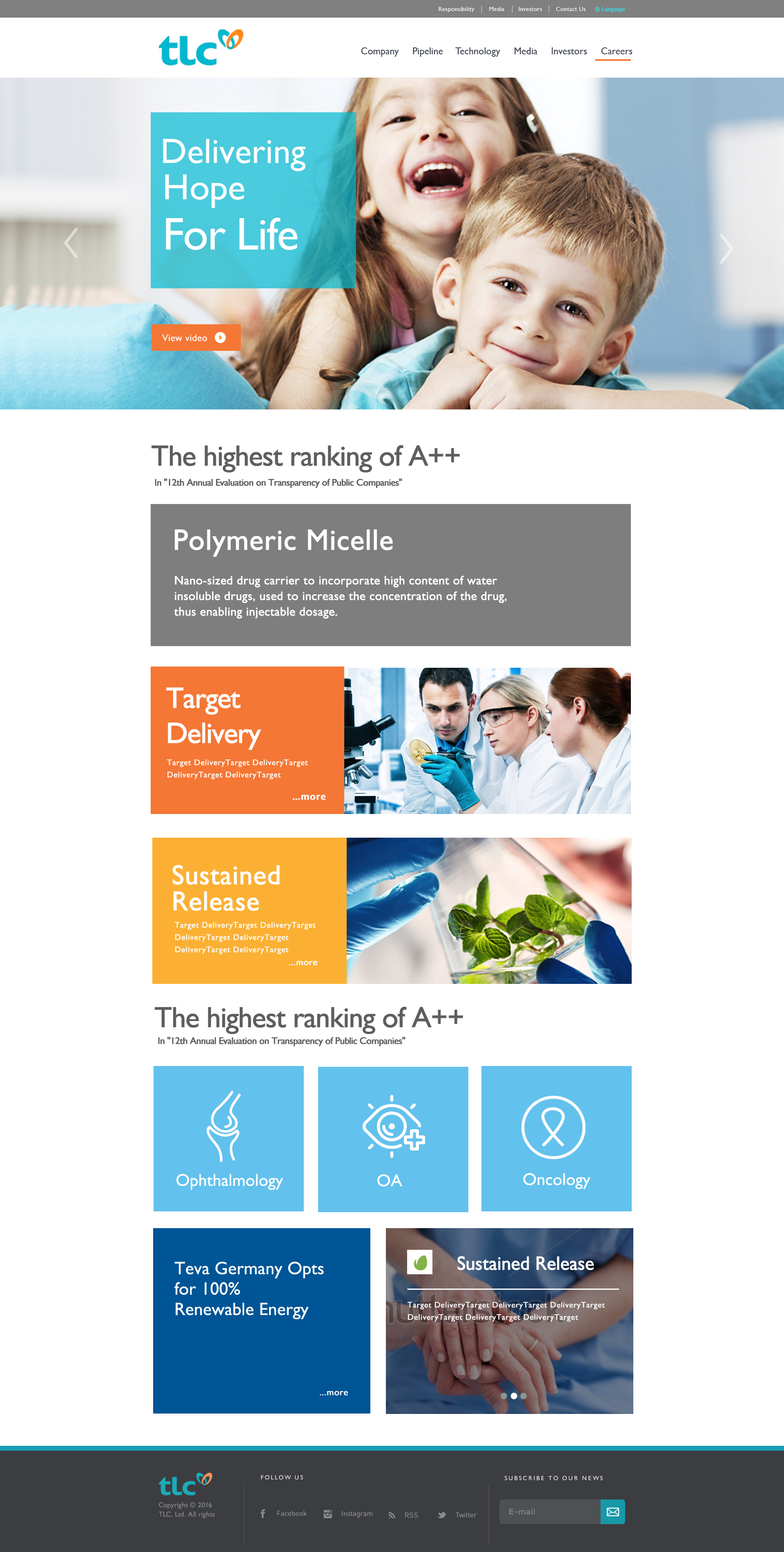 TLC Limited corporate website design